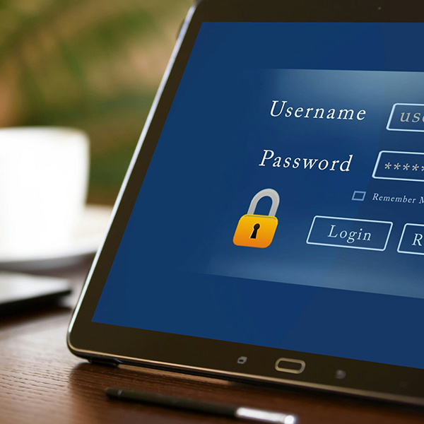 iXERP Multi User feature