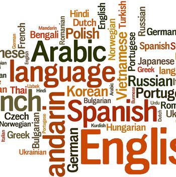 iXERP Multi language